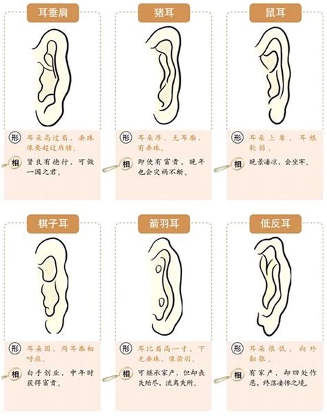 耳珠朝口 面相|面相基础